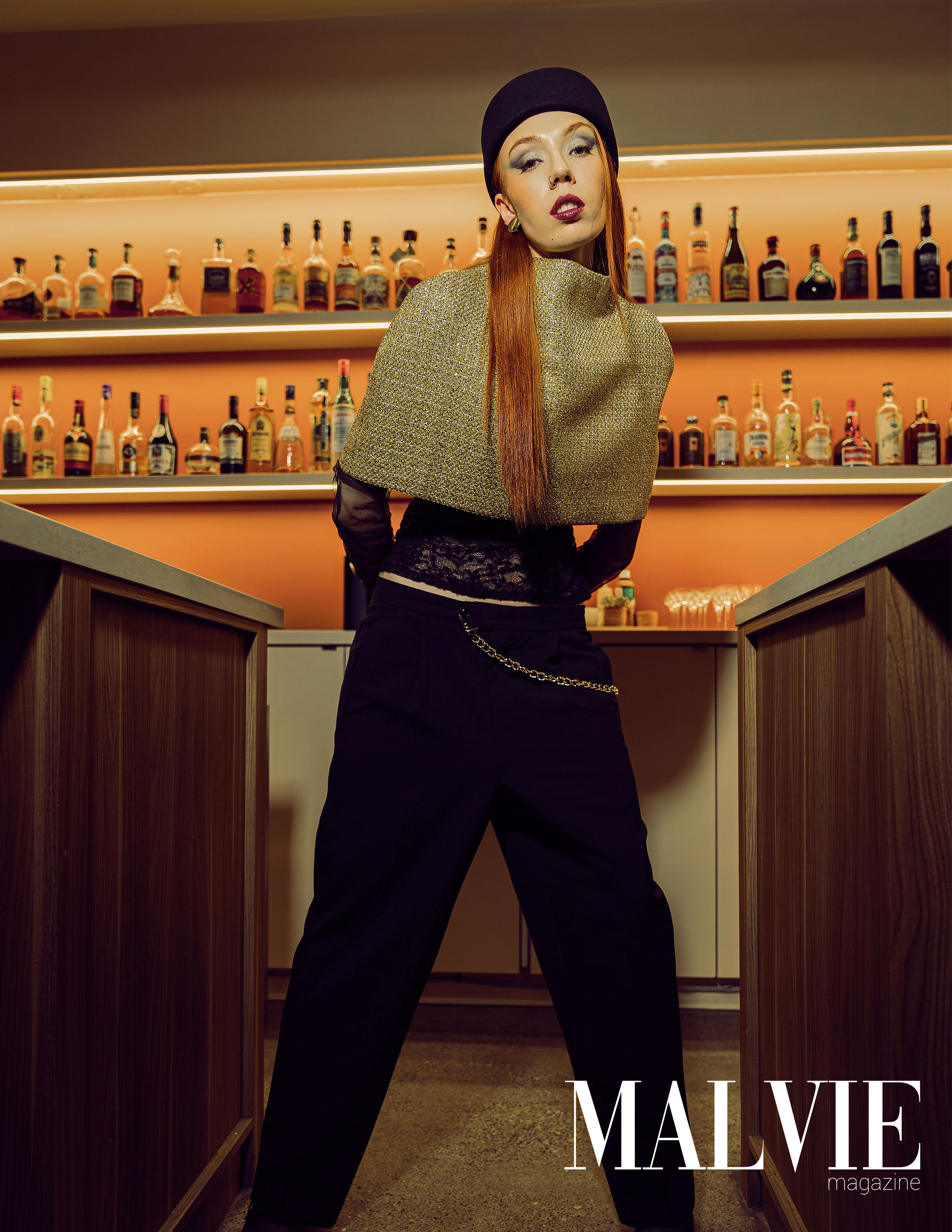 Velvet Society image 4