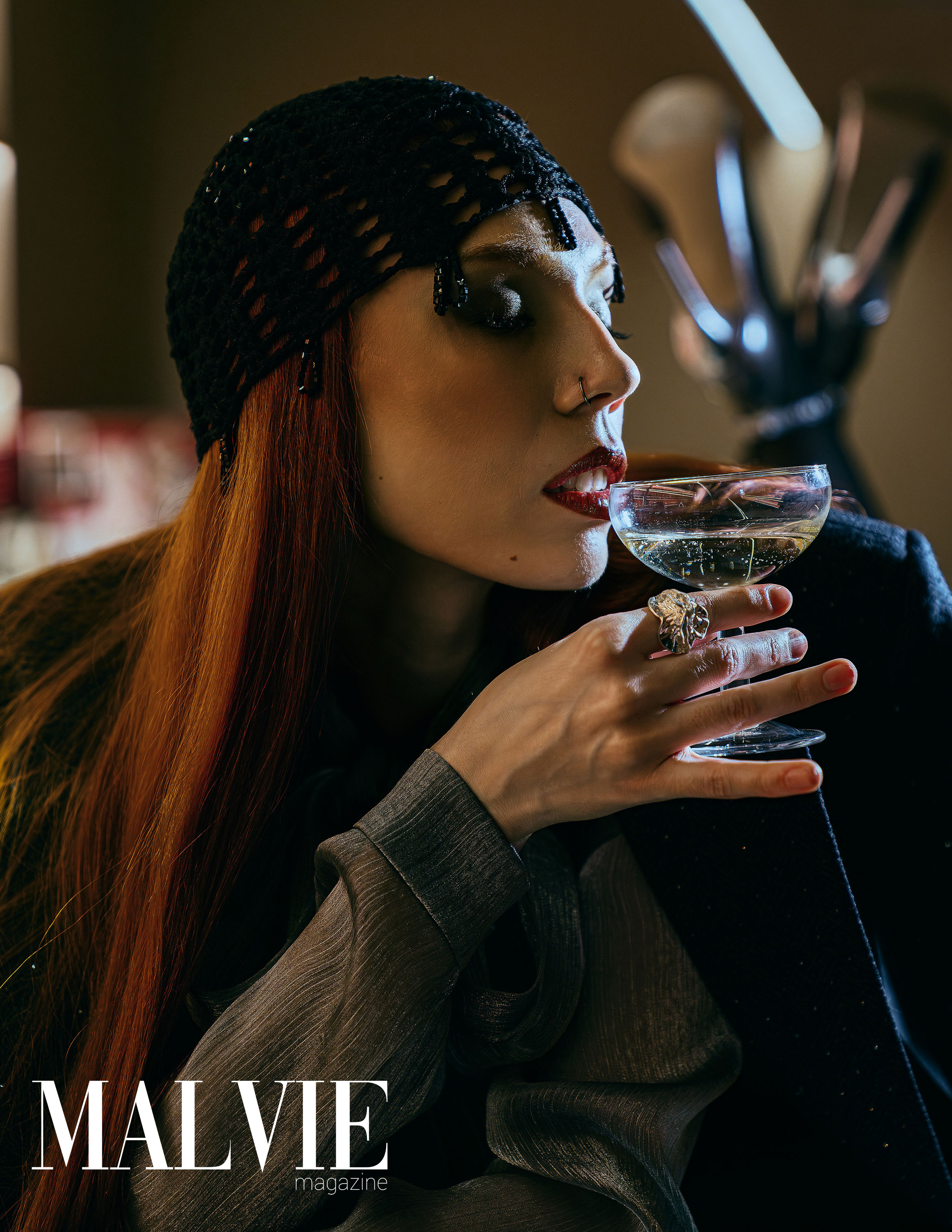 Velvet Society image 7